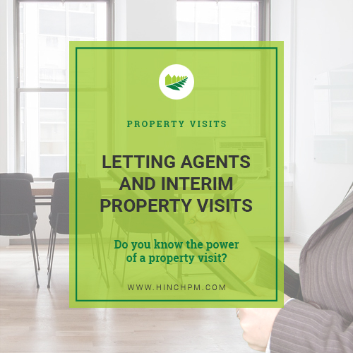 Letting agents and interim property visits